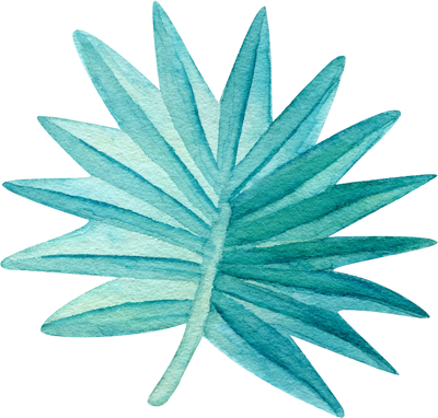 turquoise palm leaf